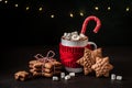 Hot Chocolate with Gingerbread Cookies