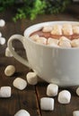 Hot chocolate and marshmallow Royalty Free Stock Photo