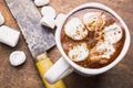 Hot chocolate with marshmallow Royalty Free Stock Photo