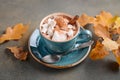 Hot Chocolate with Marshmallows and Autumn Leaves Royalty Free Stock Photo