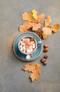 Hot Chocolate with Marshmallows and Autumn Leaves Royalty Free Stock Photo