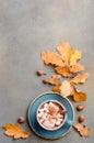 Hot Chocolate with Marshmallows and Autumn Leaves Royalty Free Stock Photo
