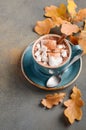 Hot Chocolate with Marshmallows and Autumn Leaves Royalty Free Stock Photo