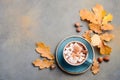 Hot Chocolate with Marshmallows and Autumn Leaves Royalty Free Stock Photo