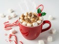 Hot chocolate with marshmallows and candy canes isolated on white background Royalty Free Stock Photo