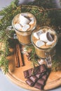 Hot chocolate with marshmallows and cinnamon in glass cups for Christmas