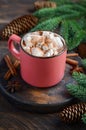 Hot chocolate with marshmallows on rustic wooden background. Christmas concept decorated with Fir branches and Cones. Royalty Free Stock Photo