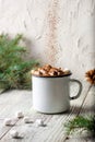 Hot chocolate with marshmallows and sprinkling cocoa in a white mug with fir tree branch. Winter holiday Christmas drink