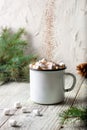 Hot chocolate with marshmallows and sprinkling cocoa in a white mug with fir tree branch. Winter holiday Christmas drink