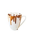 Hot chocolate with marshmallows on top