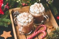 Hot chocolate with marshmallows, warm cozy Christmas drink
