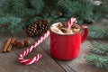 Hot chocolate with marshmallows on the wooden background fir-tree. Christmas tree with candy cane and mug with coffee Royalty Free Stock Photo