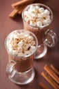 Hot chocolate with mini marshmallows cinnamon winter drink Royalty Free Stock Photo