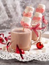 Hot chocolate with peppermint candies coated marshmallows Royalty Free Stock Photo