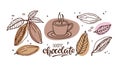Hot Chocolate set. Hand drawn sketch vector Cocoa beans, leaves, cup sketch and hot Chocolate text isolated. Organic Royalty Free Stock Photo