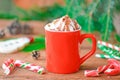 Hot chocolate in a mug with whipped cream. Winter time treat Royalty Free Stock Photo