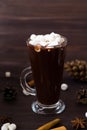 Cup Of Hot Chocolate With Mini Marshmallow With Star Anise And Cinnamon On Wooden Background