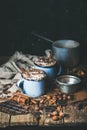 Hot chocolate with whipped cream, different nuts and spices Royalty Free Stock Photo