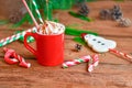 Hot chocolate in a mug with whipped cream. Winter time treat Royalty Free Stock Photo