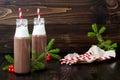 Hot chocolate with whipped cream in old-fashioned retro bottles with red striped straws. Christmas holiday drink. Free text copy s Royalty Free Stock Photo