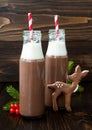 Hot chocolate with whipped cream in old-fashioned retro bottles with red striped straws. Christmas holiday drink and gingerbread b Royalty Free Stock Photo