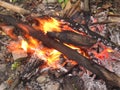 Hot coals of a dying bonfire