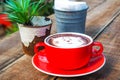 Hot cocoa and face cat milk foam in the red cup on wood background Royalty Free Stock Photo