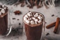 Hot cocoa with marshmallow and chocolate chips on a background of scattered cloves, chocolate, star anise and cinnamon, with a Royalty Free Stock Photo