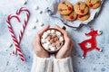 Hot cocoa with marshmallow in in woman hand. Christmas gingerbread, decorated red nosed reindeer cookies.