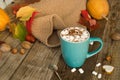 Hot cocoa with marshmallows in a blue ceramic mug with autumn leaves and pumpkins on a wooden table. The concept of hygge, cozy Royalty Free Stock Photo