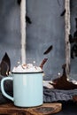 Hot Cocoa with Marshmallows and Cinnamon Bark