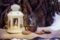 Hot coffee with cookies in winter forest in light of lantern_ Royalty Free Stock Photo