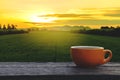 Hot coffee cup Ceramic brown glass