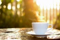 Hot coffee in the cup on old wood table with blur nature background