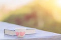 The hot coffee cup that was placed next to the Bible in the morning was prepared to learn and study the scriptures while drinking Royalty Free Stock Photo