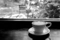 Hot coffee latte in grainy coffee cup near window, garden view,