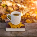 Hot coffee and red book with autumn leaves on wood background - seasonal relax concept Royalty Free Stock Photo