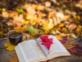 Hot coffee and red book with autumn leaves on wood background - seasonal relax concept Royalty Free Stock Photo