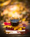 Hot coffee and red book with autumn leaves on wood background - seasonal relax concept Royalty Free Stock Photo