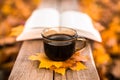 Hot coffee and red book with autumn leaves on wood background - seasonal relax concept Royalty Free Stock Photo