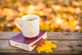 Hot coffee and red book with autumn leaves on wood background - seasonal relax concept Royalty Free Stock Photo