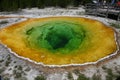 Hot Colorful Spring in Yellowstone National Park, USA