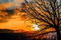 Hot colors of autumn sunset in red and orange tones, silhouette of a large tree with branches against the backdrop of a beautiful Royalty Free Stock Photo