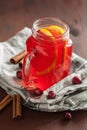 Hot cranberry tea with orange cinnamon warming drink Royalty Free Stock Photo