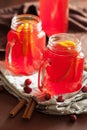 Hot cranberry tea with orange cinnamon warming drink Royalty Free Stock Photo