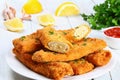 Hot Crispy Chicken cheese breaded Enchiladas Royalty Free Stock Photo