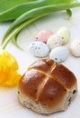 Hot cross bun, Speckled easter eggs tulip