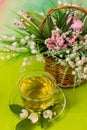 Hot cup of green tea Royalty Free Stock Photo