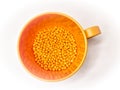 hot cut type orange masterbatch granules on same colored plastic cup, isolated white background Royalty Free Stock Photo