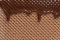 Hot dark chocolate on wafer, closeup. Royalty Free Stock Photo